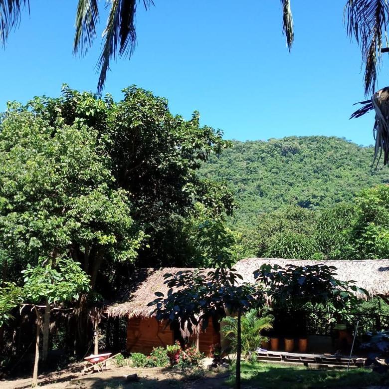 Eco Hostal Monolandia El Zaino Extérieur photo
