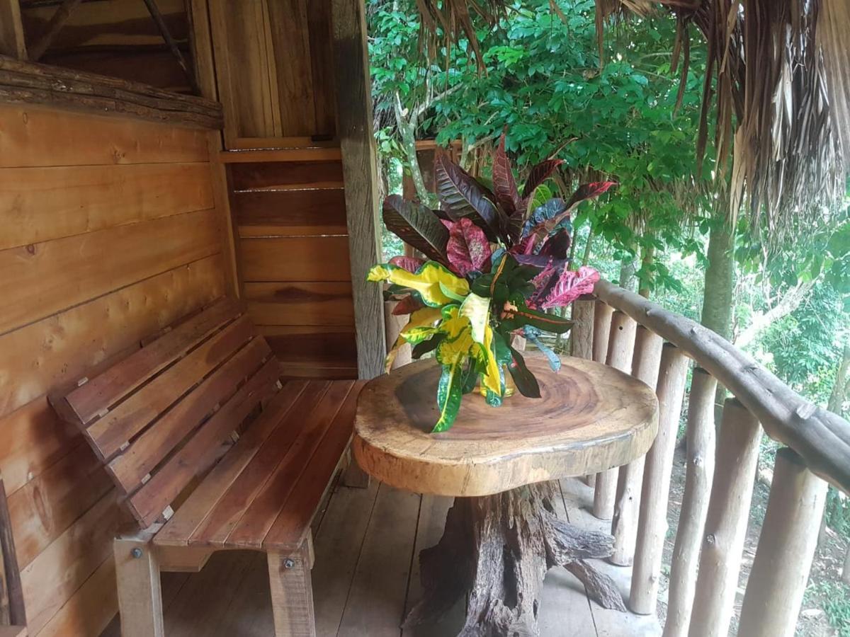 Eco Hostal Monolandia El Zaino Extérieur photo