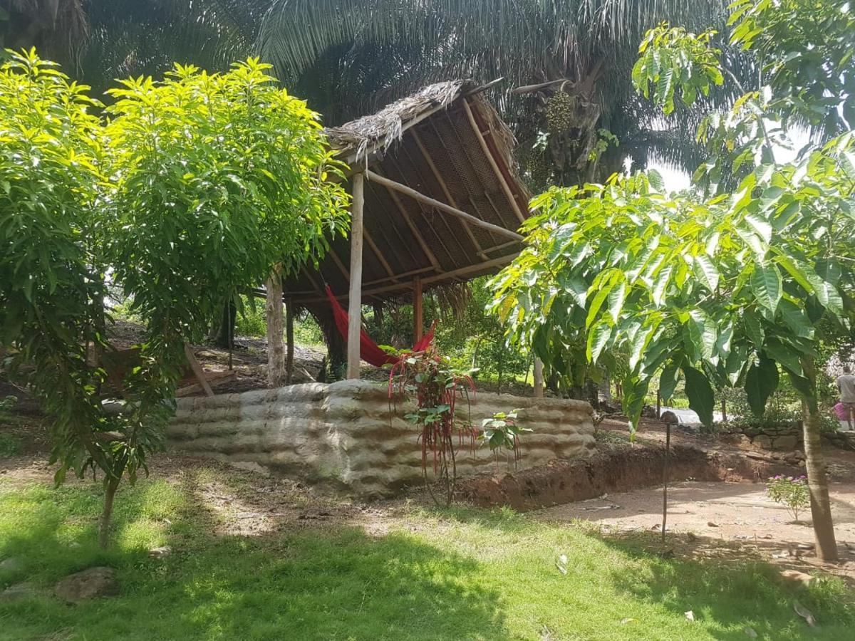Eco Hostal Monolandia El Zaino Extérieur photo