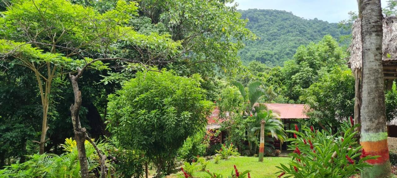Eco Hostal Monolandia El Zaino Extérieur photo