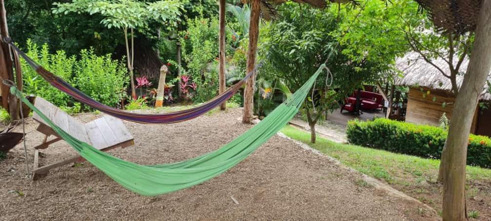 Eco Hostal Monolandia El Zaino Extérieur photo