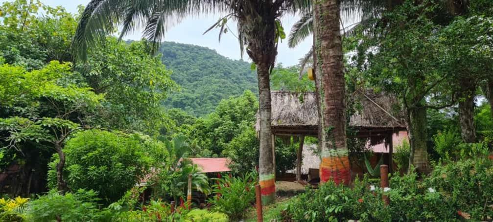 Eco Hostal Monolandia El Zaino Extérieur photo
