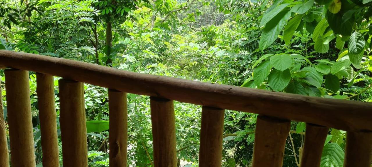 Eco Hostal Monolandia El Zaino Extérieur photo