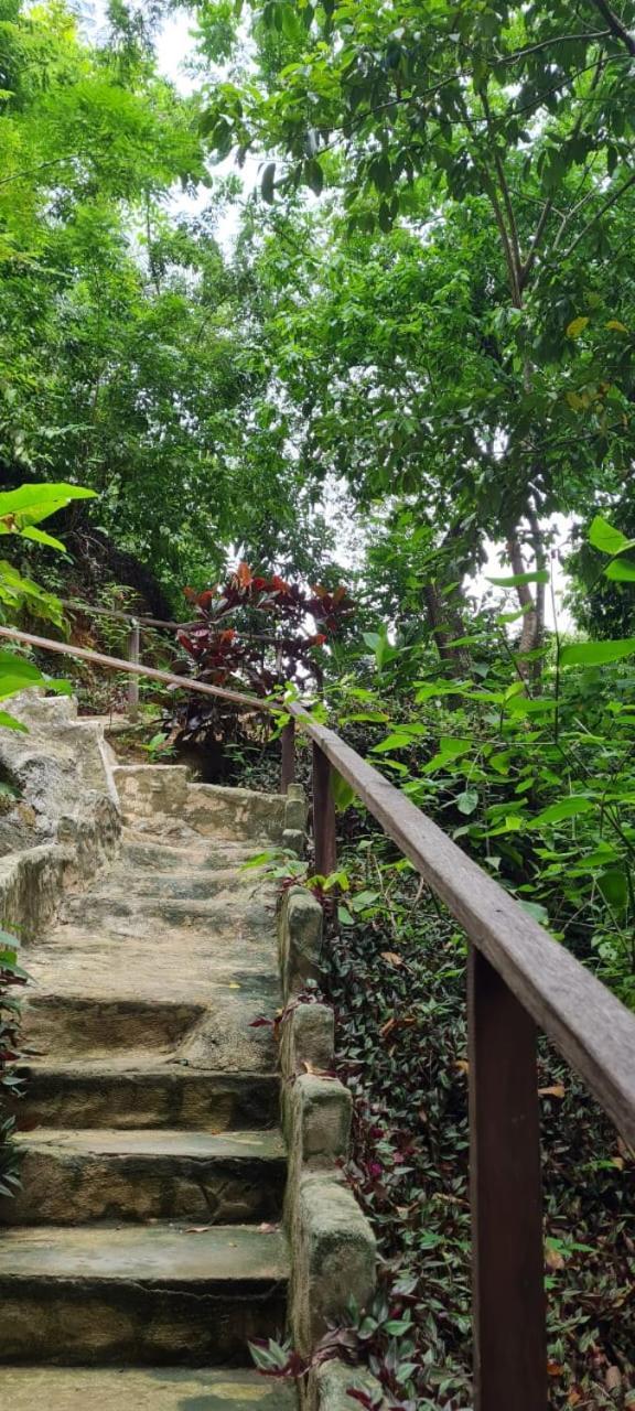 Eco Hostal Monolandia El Zaino Extérieur photo