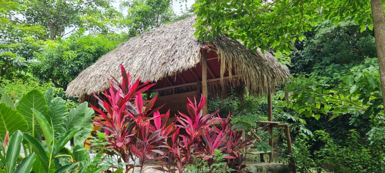 Eco Hostal Monolandia El Zaino Extérieur photo