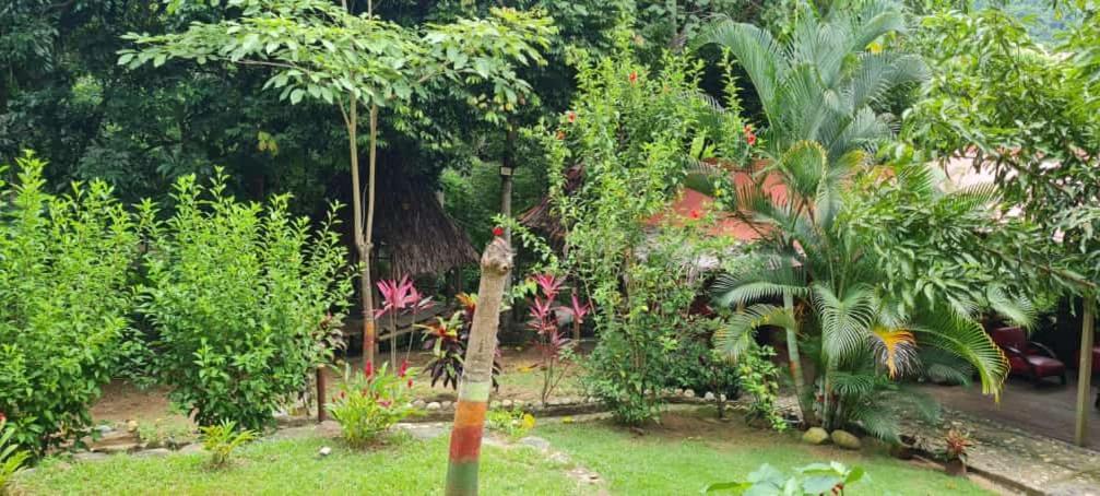 Eco Hostal Monolandia El Zaino Extérieur photo