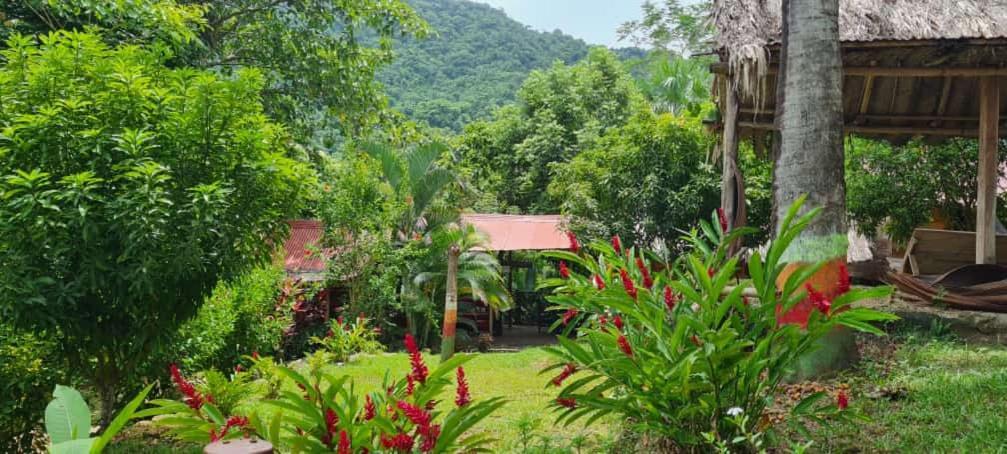 Eco Hostal Monolandia El Zaino Extérieur photo