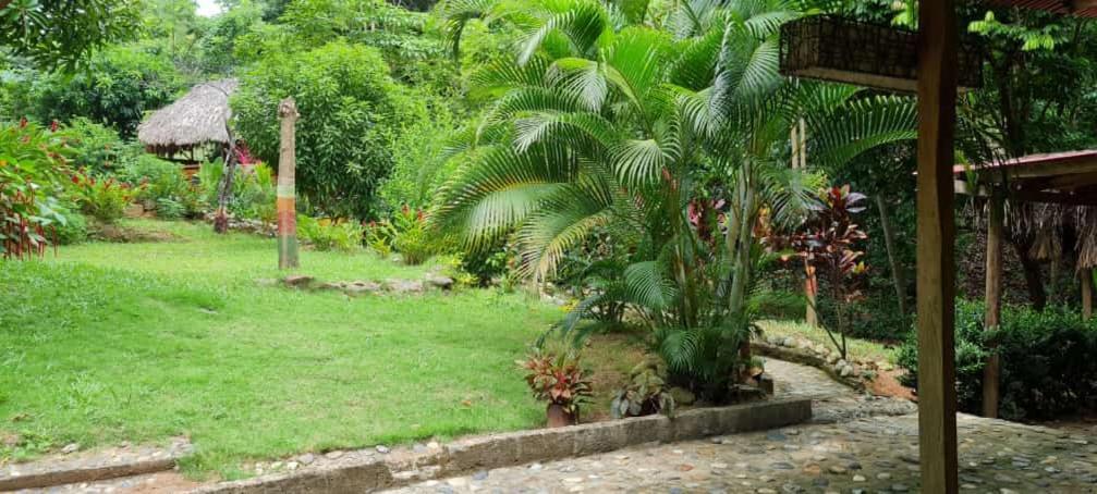 Eco Hostal Monolandia El Zaino Extérieur photo